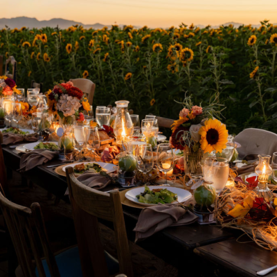 EARLY RELEASE Gather & Graze: A Farm to Table Dinner in the Sunflower Fields