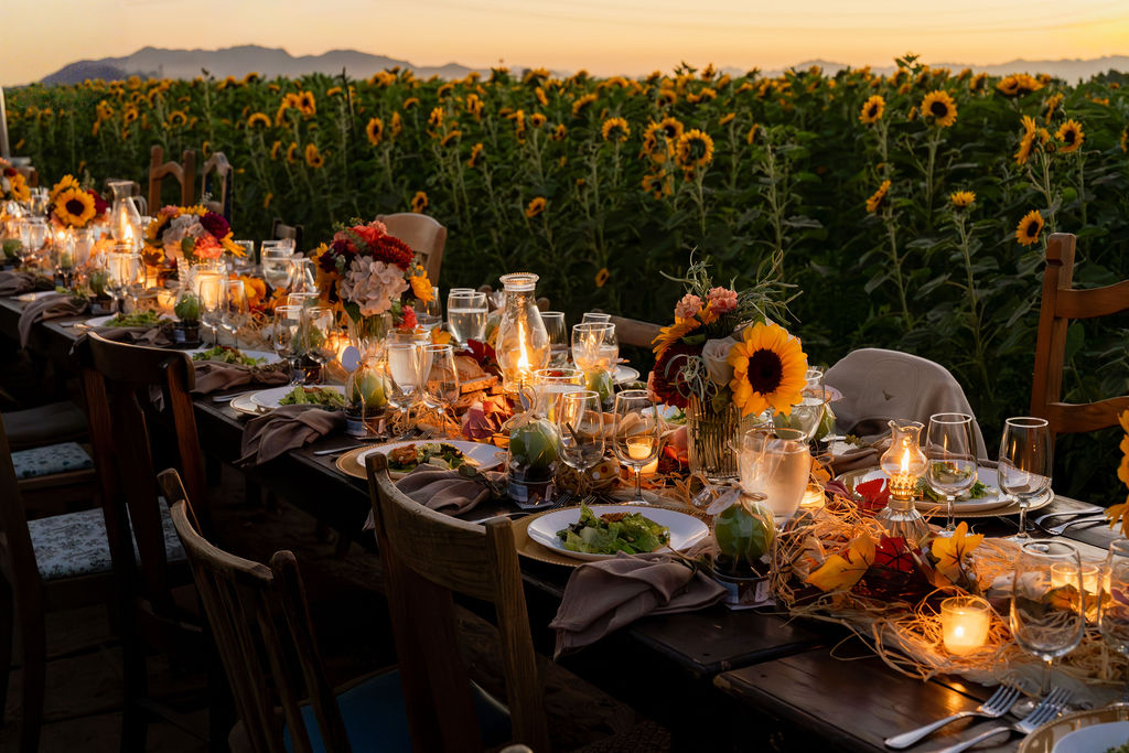 EARLY RELEASE Gather & Graze: A Farm to Table Dinner in the Sunflower Fields